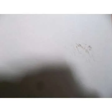 The Psychedelic Experience Manual for Spiritual Seekers