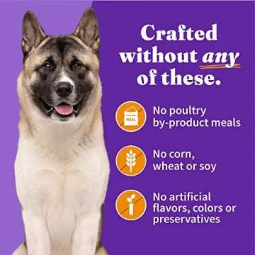 Halo Senior Wet Dog Food with Whole Chicken Recipe