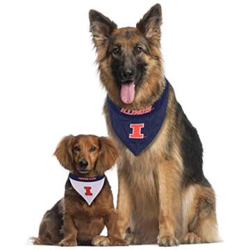 Reversible Illinois Fighting Illini Dog Bandana - NCAA Team Spirit