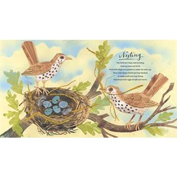 First Book of Nature - An Illustrated Adventure for Children