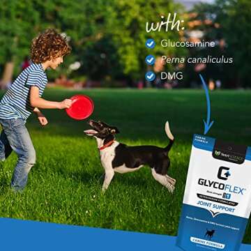 GlycoFlex Stage 1 Joint Supplement for Dogs - Tasty & Effective