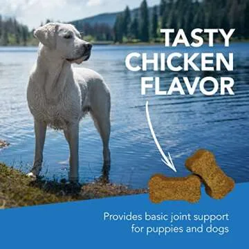 GlycoFlex Stage 1 Joint Supplement for Dogs - Tasty & Effective