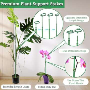 Adjustable Extendable Plant Stakes for Support and Growth