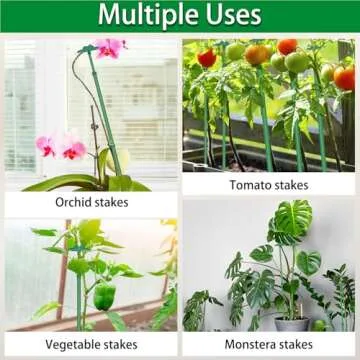 Adjustable Extendable Plant Stakes for Support and Growth