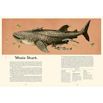 Oceanarium: Welcome to the Museum