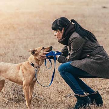 Ahiller Carabiner Clip - Heavy Duty Zinc Alloy for All Outdoor Needs