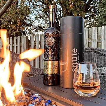 Snute Old Fashioned Whiskey Glasses - Elegant Gift Set of 2