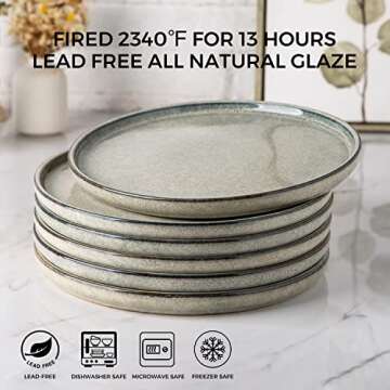 AmorArc Ceramic Plates Set of 6, 8.5 Inch Reactive Glaze Stoneware Plates set, Dessert, Salad, Appet...