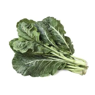 Morris Heading Collard Greens Seeds - 1000+ Heirloom Seeds Per Packet, (Isla's Garden Seeds), Non GMO Seeds, Botanical Name; Brassica oleracea, Bountiful Home Garden Harvests