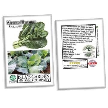 Morris Heading Collard Greens Seeds - 1000+ Heirloom Seeds Per Packet, (Isla's Garden Seeds), Non GMO Seeds, Botanical Name; Brassica oleracea, Bountiful Home Garden Harvests