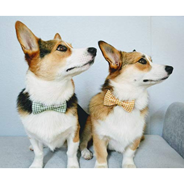Stylish Adjustable Bowtie Dog Collar for Small Pets