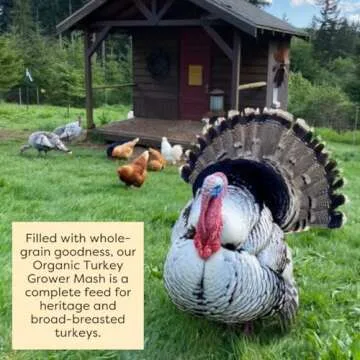 Scratch and Peck Whole Grain Grower Mash + Corn Turkey Feed - 40 lbs Bag - Soy-Free - 20.5% Protein, Certified Organic and Non-GMO Project Verified Turkey Food