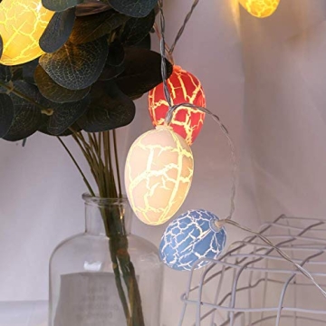 Chasgo LED Easter Decoration Eggs Lights Battery Operated