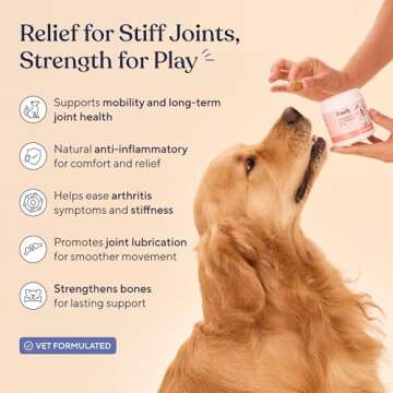 Pawfy Hip & Joint Supplement for Dogs with MSM & Vitamins | Supports Mobility & Bones for All Breeds