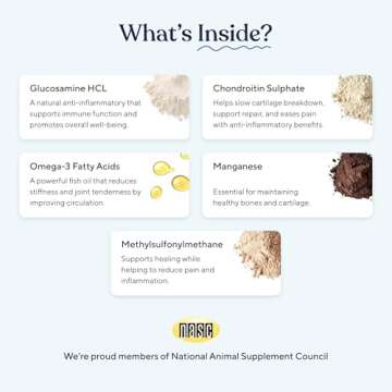 Pawfy Hip & Joint Supplement for Dogs | Mobility Support