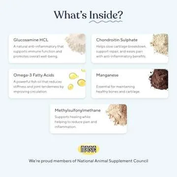 Pawfy Hip & Joint Supplement for Dogs | Mobility Support