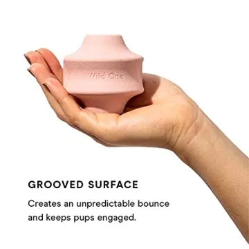 Wild One Twist Toss Dog Toy for Play and Treats