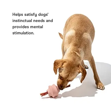 Wild One Twist Toss Dog Toy for Play and Treats