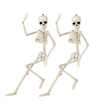 BOMPOW 15" Posable Skeletons Perfect for Halloween Fun