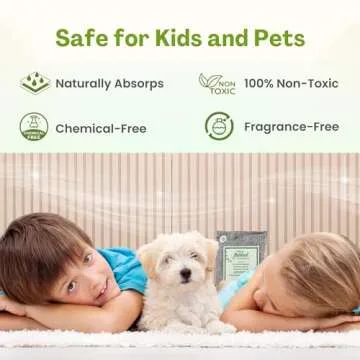 Asani Bamboo Activated Charcoal Air Purifying Bags