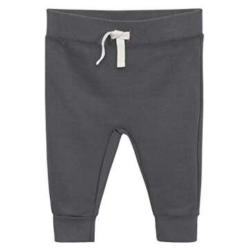 Grow by Gerber baby boys 2-pack Casual Pants, Grey, Newborn US
