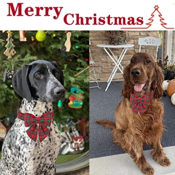 Unique Style Paws Christmas Dog Collar with Bow Tie