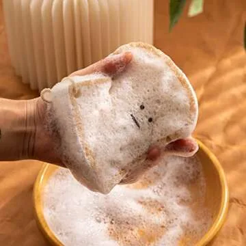 Eco-friendly LUFOFOX Kitchen Sponges 4 Pack Natural Design