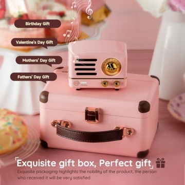 Muzen Retro Bluetooth Speaker for Music Lovers and Travelers