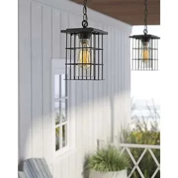 Zeyu 1-Light Exterior Pendant Light - Farmhouse Style