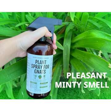 Kate's Home & Garden Plant Spray for Insects & Getting Rid of Gnats with 12 Sticky Traps. Fungus Gnat Killer & Bug Spray for Indoor Plants (16oz, Pet Safe, Non Toxic)