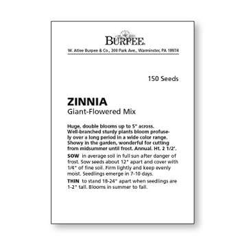 Burpee Giant Flowered Zinnia Seeds - 150 Vibrant Seeds