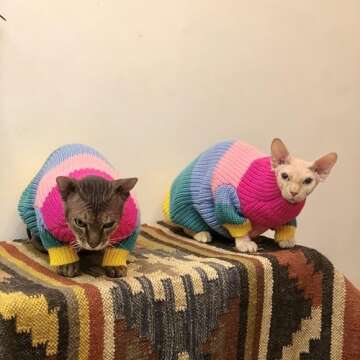 GigglyHouse Sphynx Cat Clothes, Colorful Knitted Sweater for Sphynx and Hairless Cat Breeds, Warm Winter Clothes for Cornish Rex and Devon Rex (L(5.5-8 lbs))