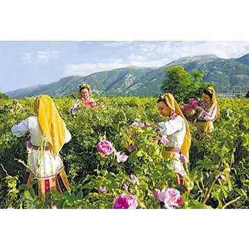 TooGet Fragrant Natural Pink Rose Buds Rose Petals Organic Dried Rosa Damascena Wholesale, Culinary Food Grade - 2 OZ