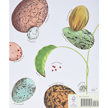 An Egg Is Quiet - Illustrated Kids Nature Book