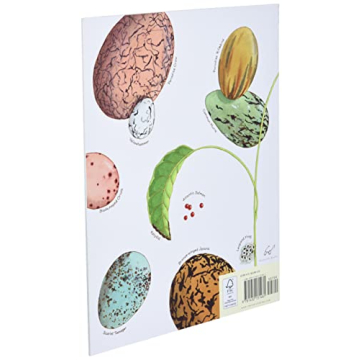 An Egg Is Quiet - Illustrated Kids Nature Book