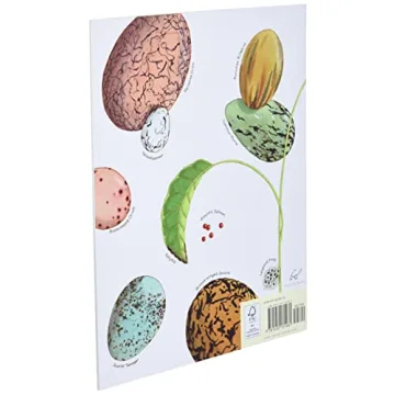 An Egg Is Quiet - Illustrated Kids Nature Book