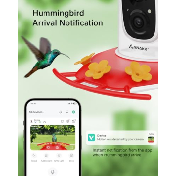 HD Night Vision Hummingbird Feeder with Camera