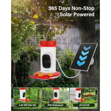 HD Night Vision Hummingbird Feeder with Camera