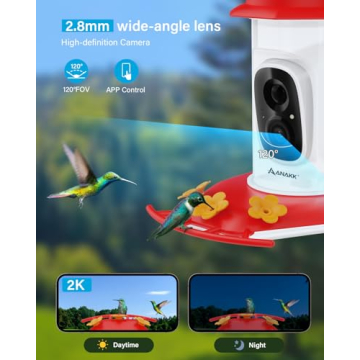 HD Night Vision Hummingbird Feeder with Camera