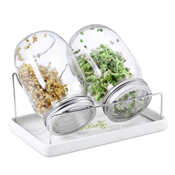 Complete Mason Jar Sprouting Kit - 2 Wide Mouth Quart Sprouting Jars with 316 Stainless Steel Sprout...