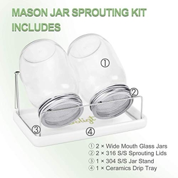 Complete Mason Jar Sprouting Kit for Home Growing