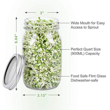 Complete Mason Jar Sprouting Kit for Home Growing