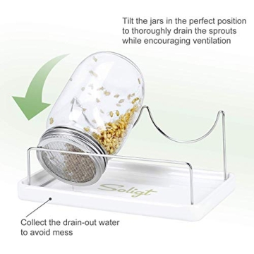 Complete Mason Jar Sprouting Kit for Home Growing