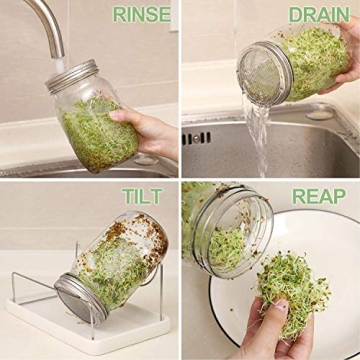 Complete Mason Jar Sprouting Kit for Home Growing