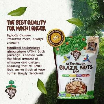 Floresta em Pé The True Organic Premium Brazil Nuts (15oz) Raw & Unsalted | KOSHER| Non-Gmo | Certified Organic | Fresh | Vegan | Gluten Free | Keto & Paleo Friendly | Sustainably Harvested