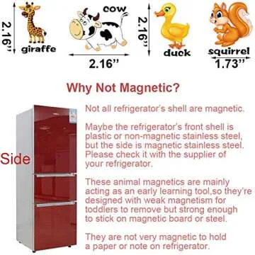 Animal Magnets Letters Refrigerator for Kids 1-3