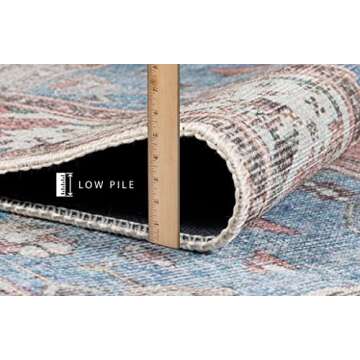 Monolia Machine Washable Area Rug, Low Pile Rug for Living Room, Bedroom, Bathroom, Kitchen, Vintage Home Decor, Boho Floor Decoration (5' x 7')