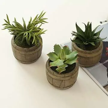 MyGift Set of 3 Rustic Succulent Plants in Decorative Pots