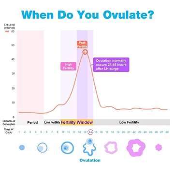 Easy@Home Ovulation Test Predictor Kit : Accurate Fertility Test for Women (Width of 5mm), Fertility Monitor Test Strips, 50 LH Strips with 50 Urine Cups