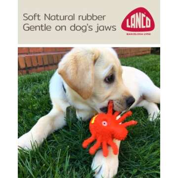 Puppy Teething Toys 100% Natural Rubber (Latex). Free from Harmful Chemicals. Help Clean Teeth and Soothe Gums. Small Breeds